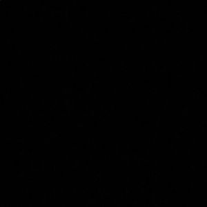 Meet your Posher, Shaylene